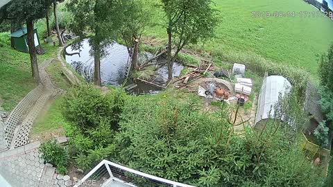 Tree Trimmer Tumbles into Pond