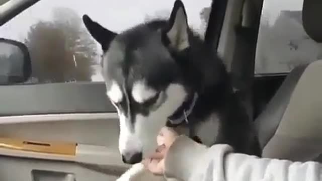 Travel with me in the co-pilot