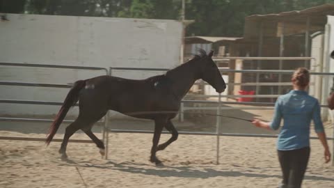THE MOST BEAUTIFUL RIDERS IN THE WORLD
