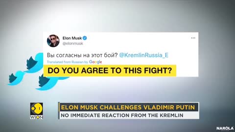 Elon Musk challenges Vladimir Putin in a series of tweets _ News