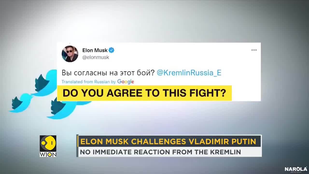 Elon Musk challenges Vladimir Putin in a series of tweets _ News