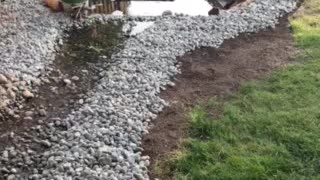 2nd stage of backyard creek