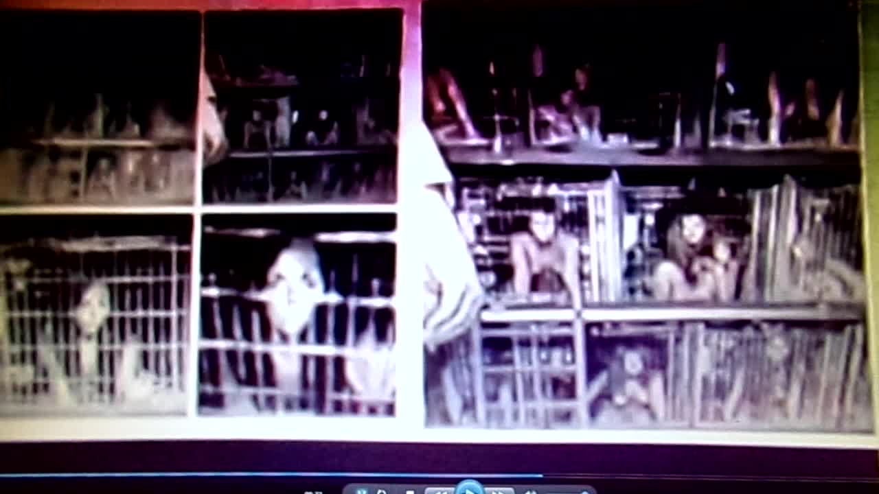 Child Trafficking World Wide: