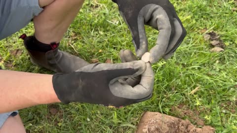 Silver Hoard Coin Spill Minelab Manticore Part8