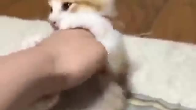Mommy is watching