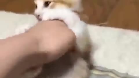 Mommy is watching