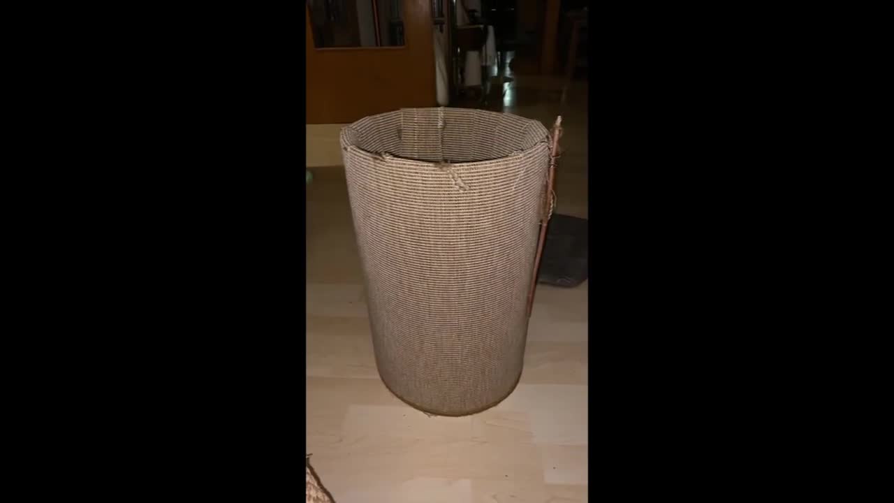 Funny cat videos 🤣🤣🤣 cute and lovely cat videos please don't forget to watch