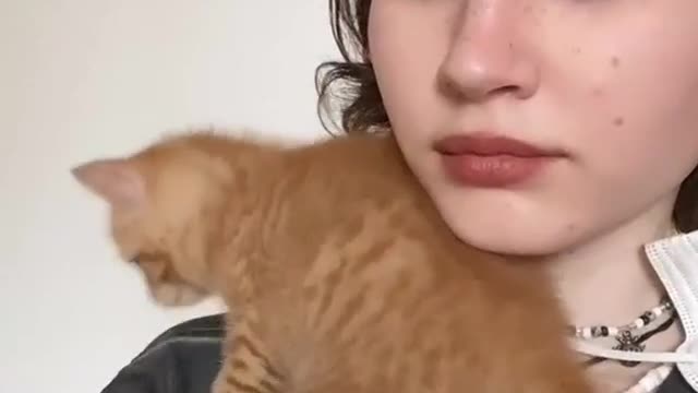 This cute kitten loves camera