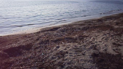 Minnen vid stranden. Pålsjö, Helsingborg 22 Aug. 2013