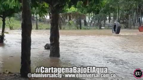 Video: Cartagena bajo el agua