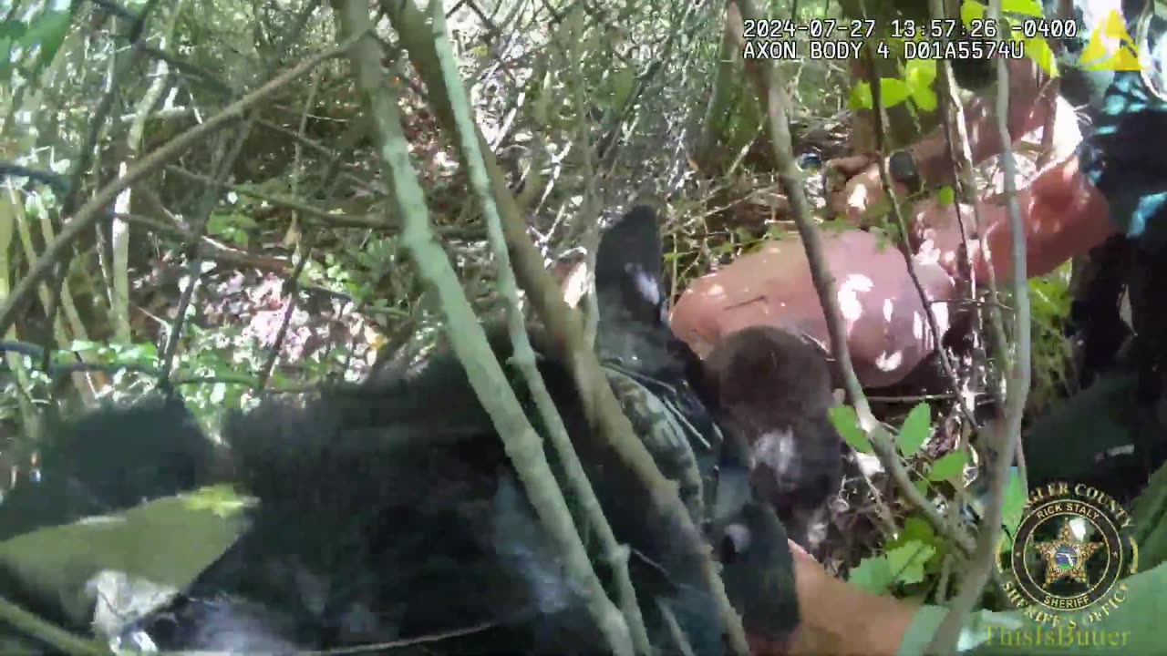 Escaped Florida felon who faked injury screams in agony as K9 drags him out from the woods