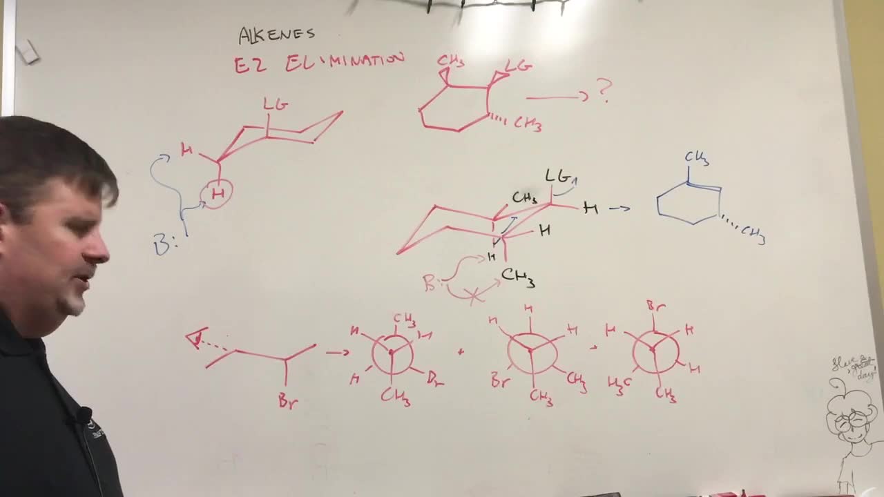 E2 Elimination Mechanism Specifics