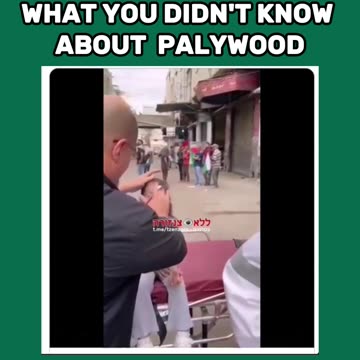 WHAT YOU DIDN'T KNOW ABOUT PALYWOOD!