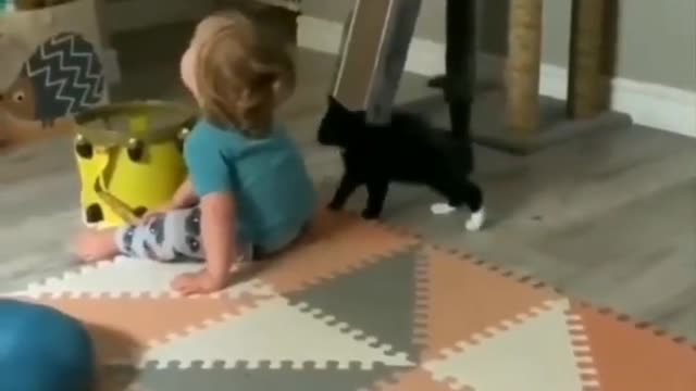 Funiest cats don,t try tô hold back laugther besta funny cats vídeos 2021
