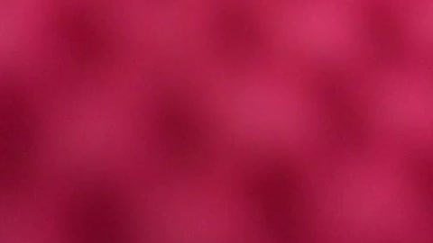 I asked Alexa if the earth was flat