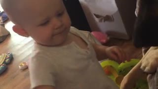 Baby place toys on dogs head