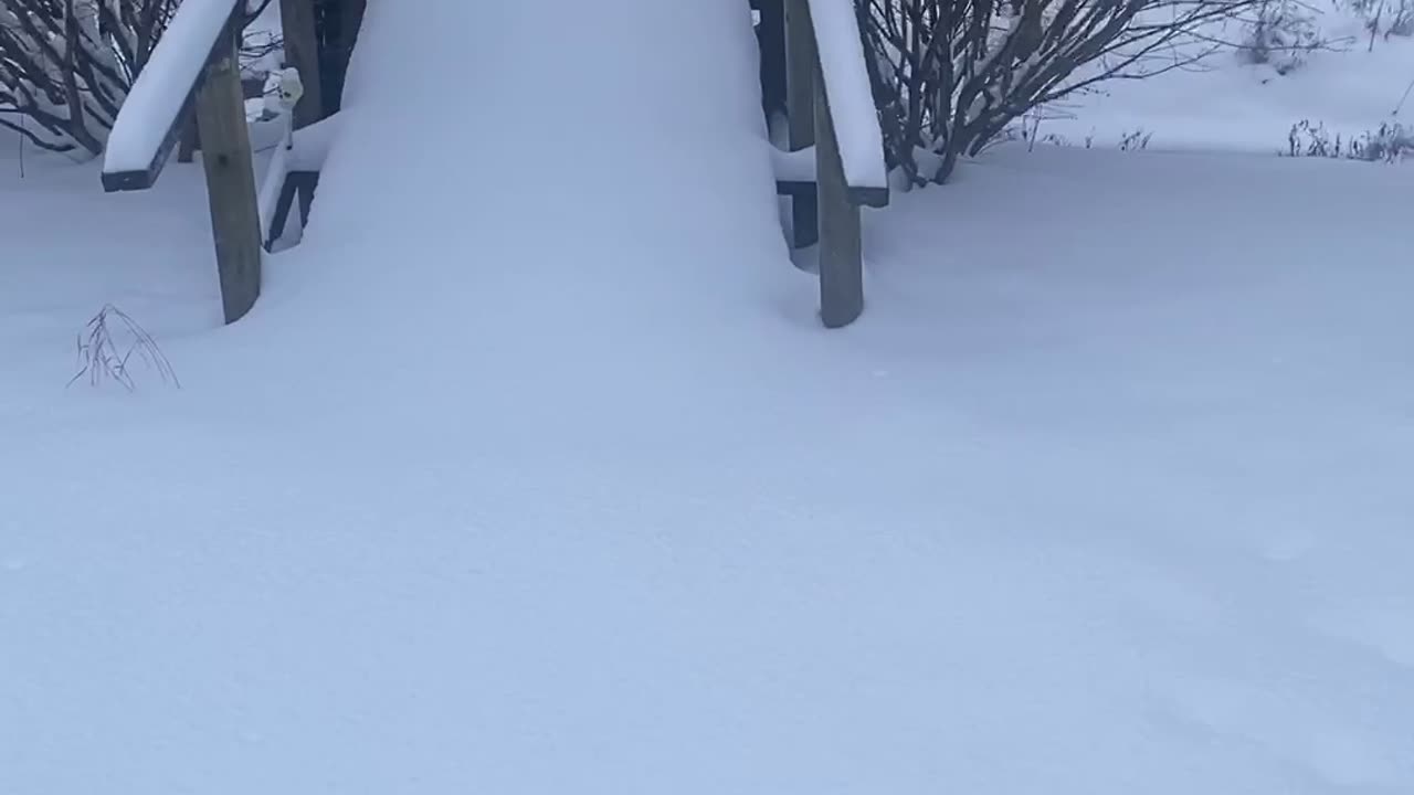 Name That Tune? I hardly recognize it myself so good luck