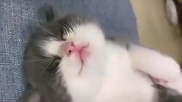 I’ll be playing dead just until next month daddy