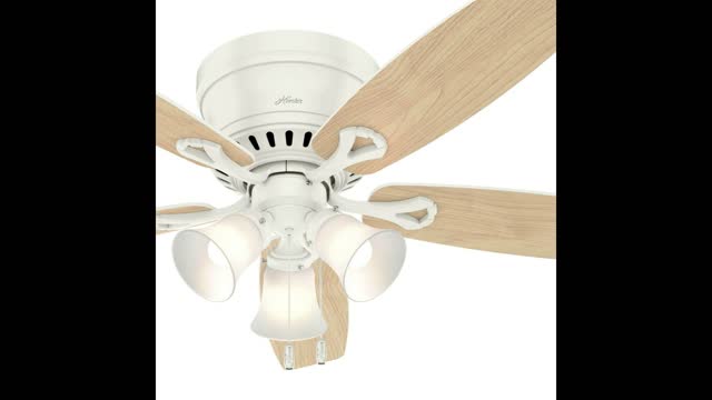 Hunter Fan 52 inch Low Profile Fresh White Ceiling Fan with Light and Pull Chain