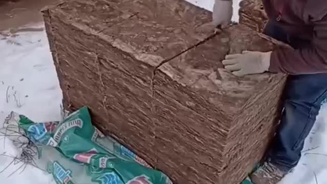 Warm construction of wooden house