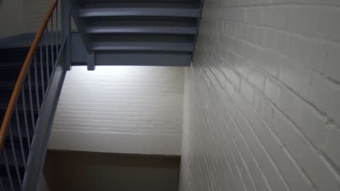 3869FHOB01Stair6_2021-01-06_14h00min01s267ms.mp4