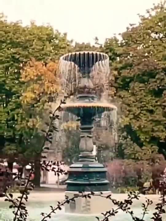 MAJESTIC ST. LOUIS FOUNTAIN #shorts