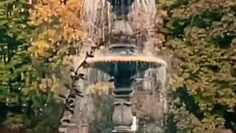 MAJESTIC ST. LOUIS FOUNTAIN #shorts