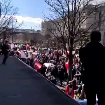 MSM - Mainstream media won't show you this!