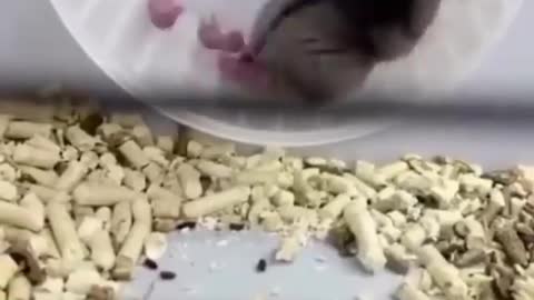 Mom said to hold on tight if you don't fall