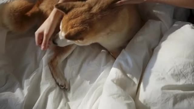best life