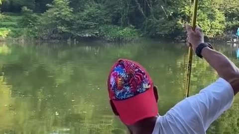 BIRD Fishing Lure Catches BIG FISH CRAZY! #Shorts