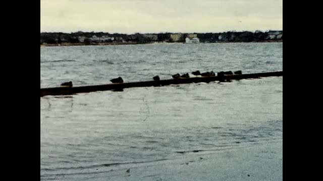 1958 New Jersey, Island Heights, Tom's River by Robert Miller