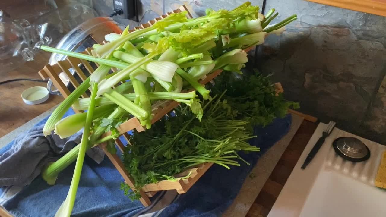 Vegetable Juices Aajonus Style