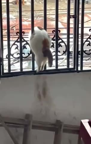 The disadvantages of being a little bit chubby