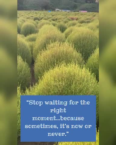 At Tokyo German Village