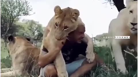 Lion Friendship With Human Video.....