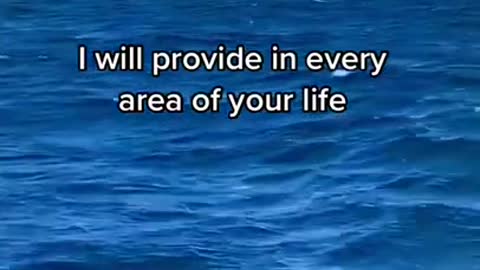 Trust God