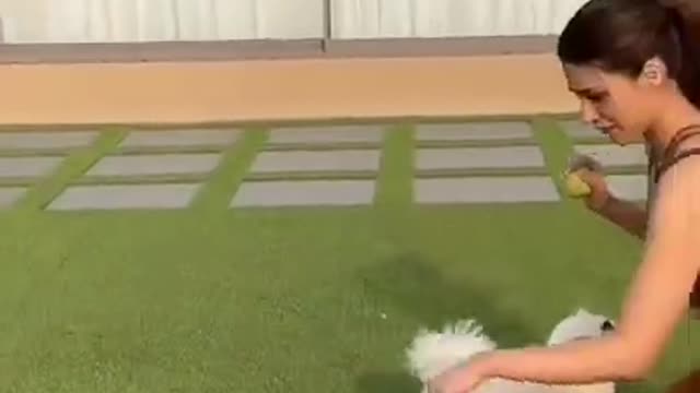 on ❤️ Cute puppy video _ #shorts #puppy