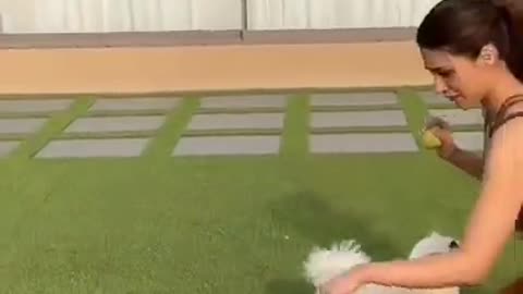 on ❤️ Cute puppy video _ #shorts #puppy