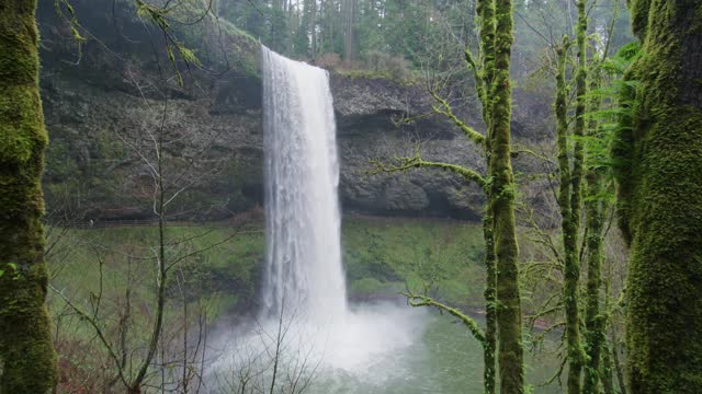 Water Falling Beauty