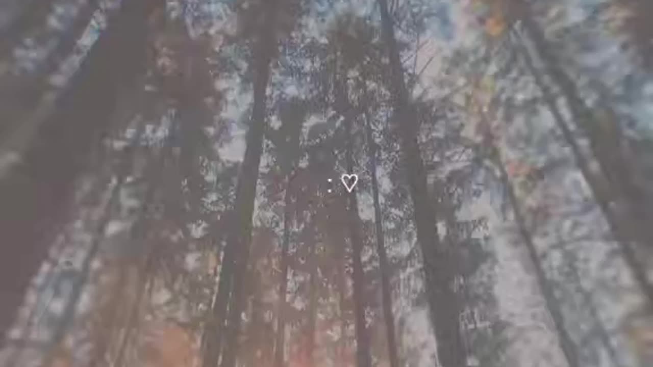 aesthetic video New Trending Videos | New Short | Viral short #tiktok #viral #trending