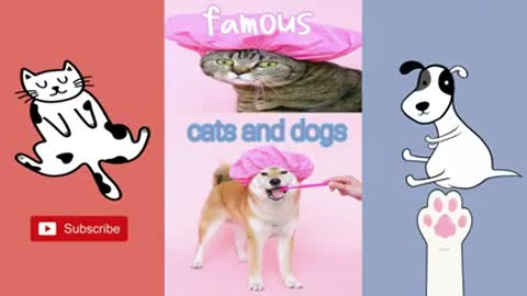 FAMOUS_DOG_AND_CATS_(funny_cats_tiktok)_compilation_of_cute_and_nasty_behaviour