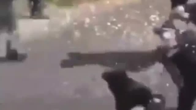 ik heb deze video 10 keer bekeken op repeat