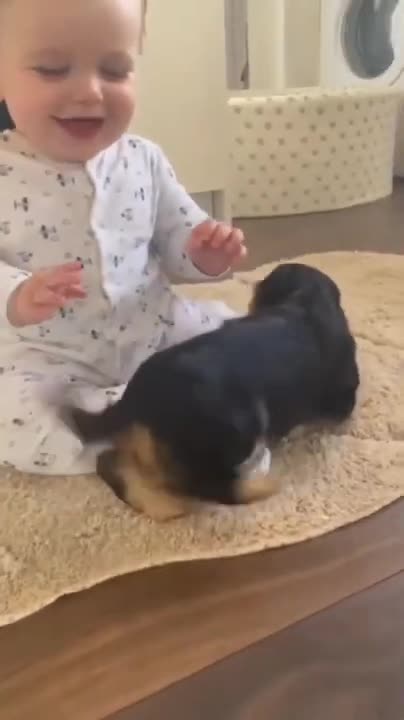 Diana and Animal Stories for Kids