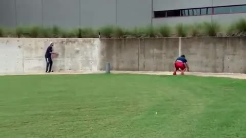 Playing frisbee in the park