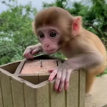 That’s super cute but kinda unsafe he could hurt himself