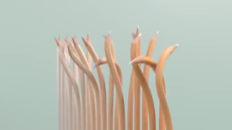 Creative amazing shorts video