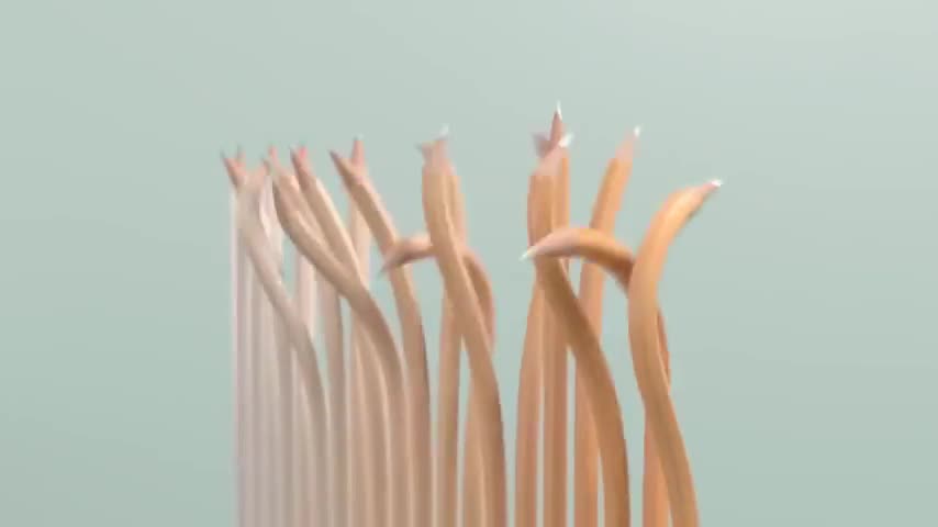 Creative amazing shorts video