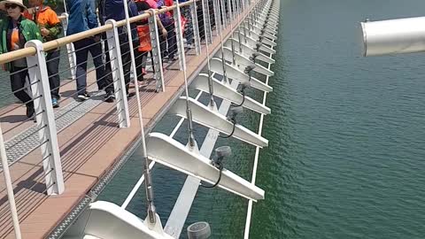 Rocking bridge