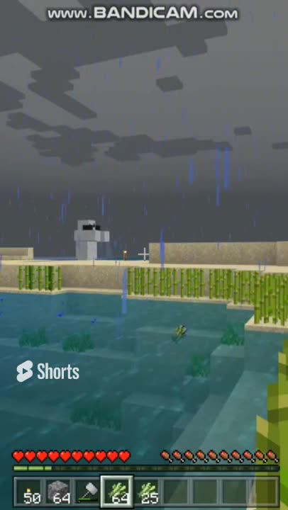 Trust me it's Not a Wumpa | SV Shorts